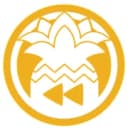 Rizin logo