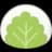 Mochi logo