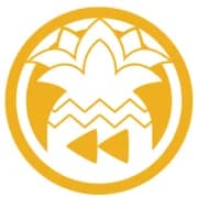Rizin logo