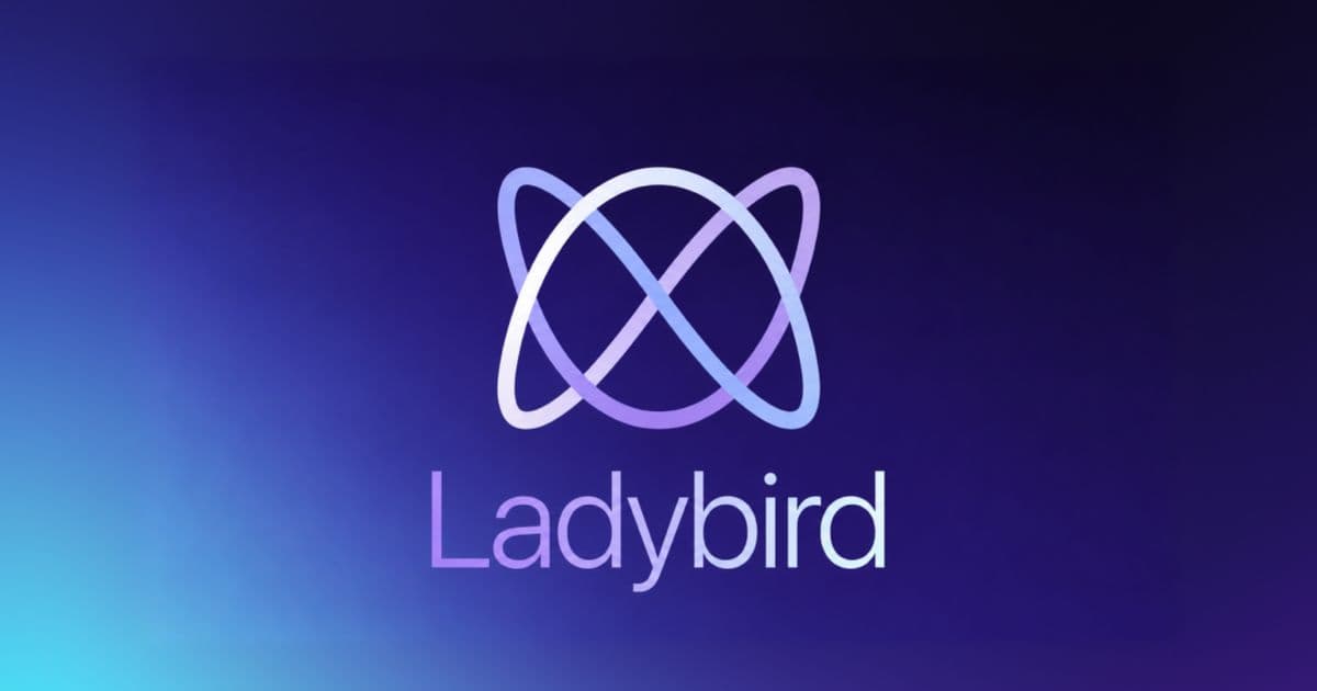 Ladybird Browser Ends Public Pull Requests Due to AI and Security Concerns